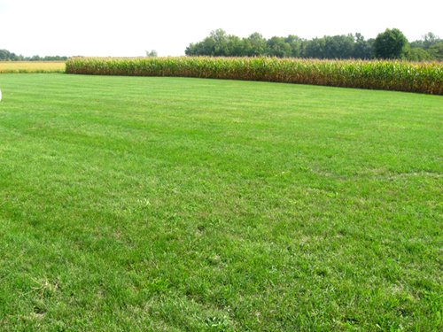 Property photo 16 - Real Estate Auction - 31+/- Acres Offered in 3 Tracts Including a 3-Bedroom Home